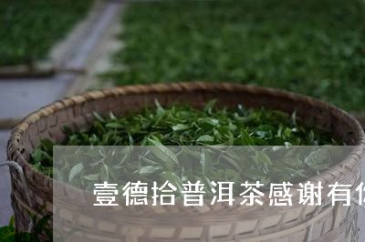 壹德拾普洱茶感谢有你/2023092751703