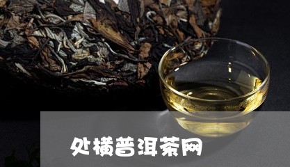 处横普洱茶网/2023042845326