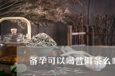 备孕可以喝普洱茶么吗/2023112447379