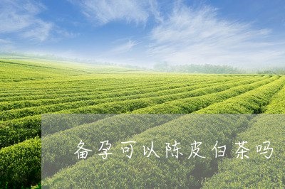 备孕可以陈皮白茶吗/2023063073514