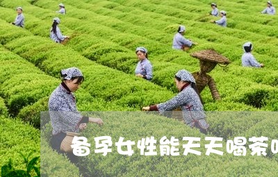 备孕女性能天天喝茶吗/2023071578395