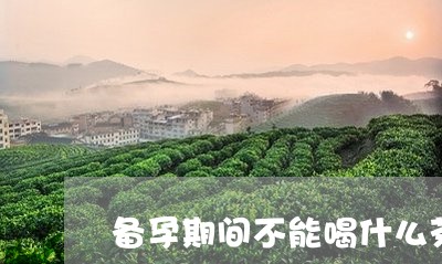 备孕期间不能喝什么茶/2023071423716