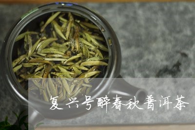 复兴号醉春秋普洱茶/2023101747279