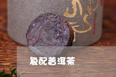 复配普洱茶/2023090661483