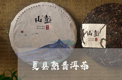 夏县熟普洱茶/2023042771275