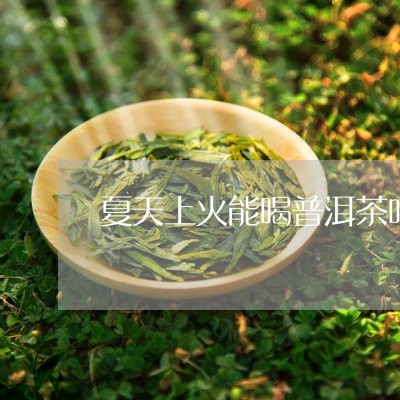 夏天上火能喝普洱茶吗/2023092648170