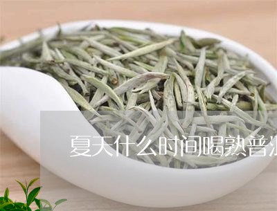 夏天什么时间喝熟普洱茶/2023050493526