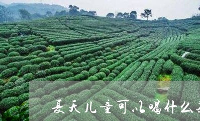 夏天儿童可以喝什么茶/2023071351502