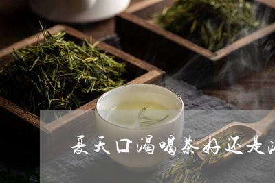 夏天口渴喝茶好还是冷饮好呢/2023052626161