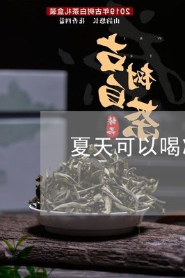 夏天可以喝凉了的茶吗/2023071490603