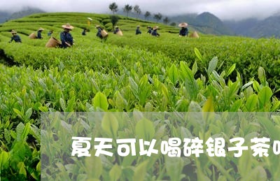 夏天可以喝碎银子茶吗/2023060805947