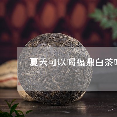 夏天可以喝福鼎白茶吗/2023120869492