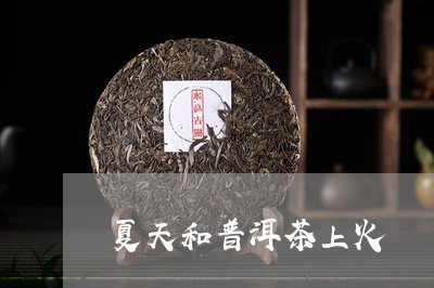 夏天和普洱茶上火/2023112583835