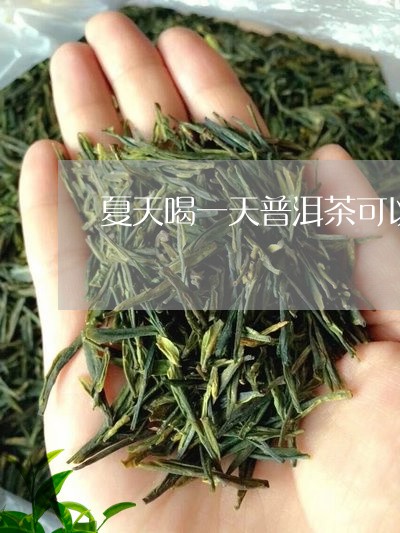 夏天喝一天普洱茶可以吗/2023103146058