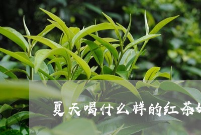 夏天喝什么样的红茶好/2023071492815