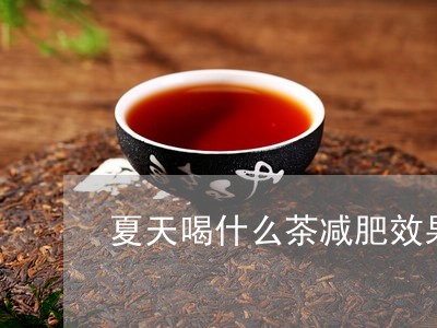 夏天喝什么茶减肥效果最好自制/2023060177480