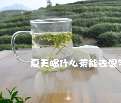 夏天喝什么茶能去湿气/2023071374836