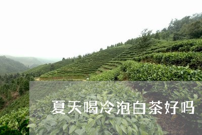 夏天喝冷泡白茶好吗/2023071706159