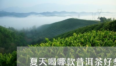 夏天喝哪款普洱茶好些呢/2023121594828