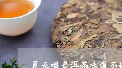 夏天喝普洱茶味道不好/2023062328272