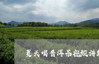 夏天喝普洱茶视频讲解教程/2023112657259