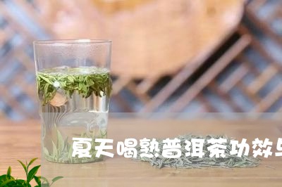 夏天喝熟普洱茶功效与作用是什么/2023060235948