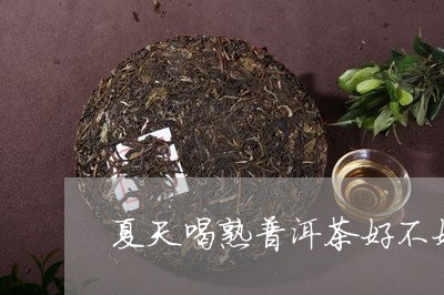 夏天喝熟普洱茶好不好喝一点/2023110223039