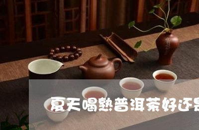 夏天喝熟普洱茶好还是白茶好/2023052877484