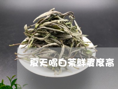 夏天喝白茶鲜爽度高/2023071746371