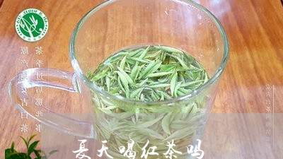 夏天喝红茶吗/2023042991236