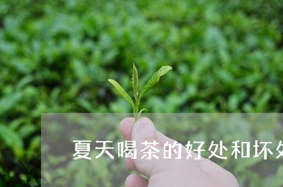 夏天喝茶的好处和坏处/2023060869704