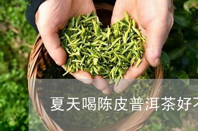 夏天喝陈皮普洱茶好不好/2023050590415