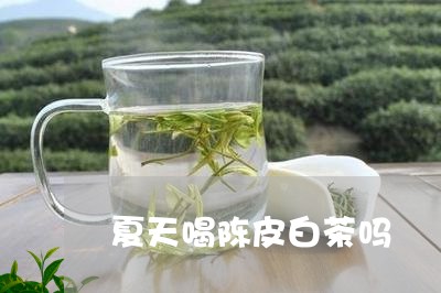 夏天喝陈皮白茶吗/2023061671726