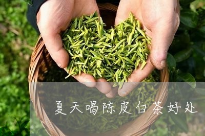 夏天喝陈皮白茶好处/2023071725969