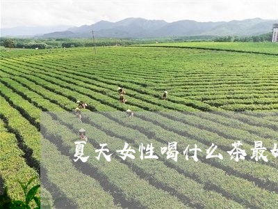 夏天女性喝什么茶最好/2023071337463