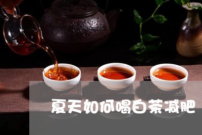 夏天如何喝白茶减肥/2023071771784