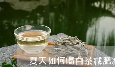 夏天如何喝白茶减肥减脂/2023101683947