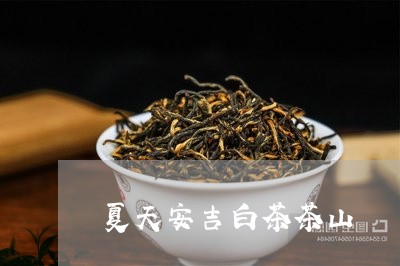 夏天安吉白茶茶山/2023061699302