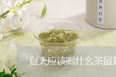 夏天应该喝什么茶最好/2023060929481