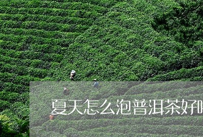 夏天怎么泡普洱茶好喝一点/2023110504836