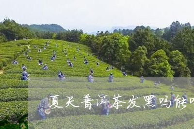 夏天普洱茶发黑吗能喝吗/2023082759493