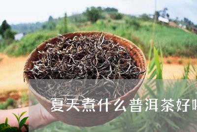 夏天煮什么普洱茶好喝一点/2023110508692