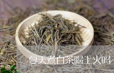 夏天煮白茶喝上火吗/2023071740703