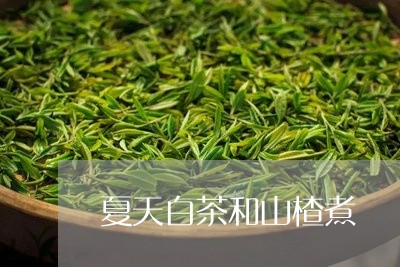 夏天白茶和山楂煮/2023061625171