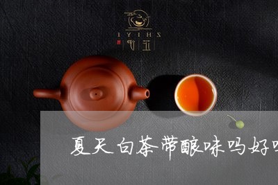 夏天白茶带酸味吗好吗/2023092809401