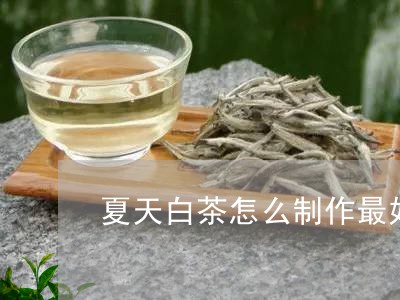 夏天白茶怎么制作最好喝/2023101672715