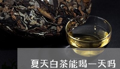 夏天白茶能喝一天吗/2023121851705