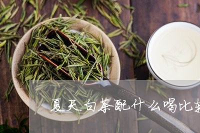 夏天白茶配什么喝比较好/2023101657363