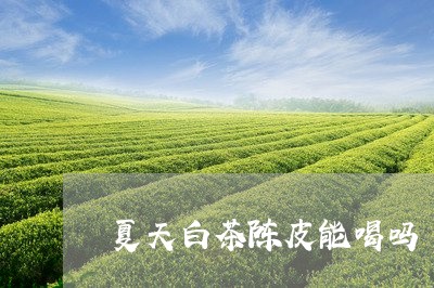 夏天白茶陈皮能喝吗/2023071719373