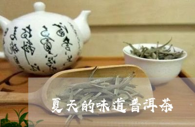 夏天的味道普洱茶/2023081652617